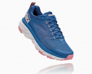 Hoka Challenger ATR 5 Dark Blue / Brown | 75602GHPI