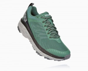 Hoka Challenger ATR 5 Grey | 74963ARKL