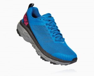 Hoka Challenger ATR 5 Royal Blue / Pink Peacock | 07946RSLQ