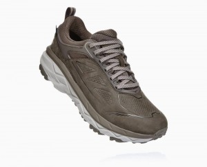 Hoka Challenger Low GORE Brown | 42571KQTN