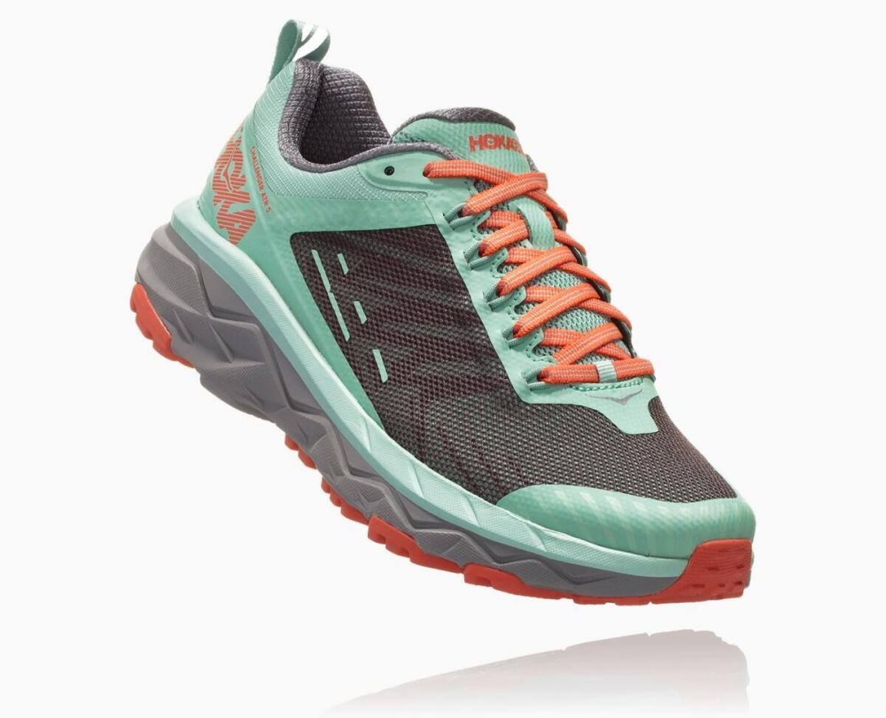 Hoka Challenger ATR 5 Pavement/Lichen | 35987LFYB