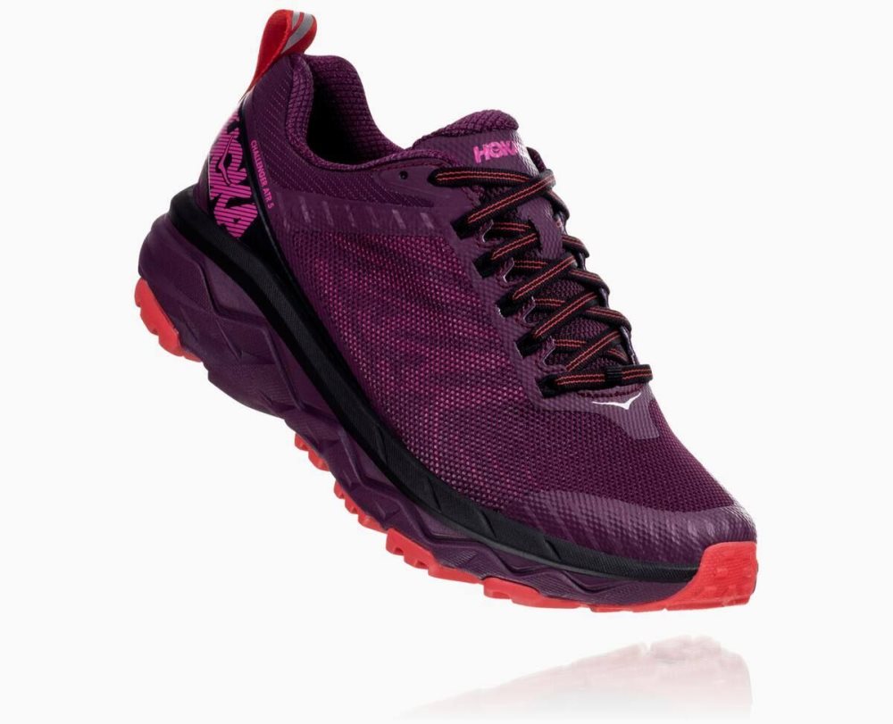 Hoka Challenger ATR 5 Purple / Red | 75128KBNJ