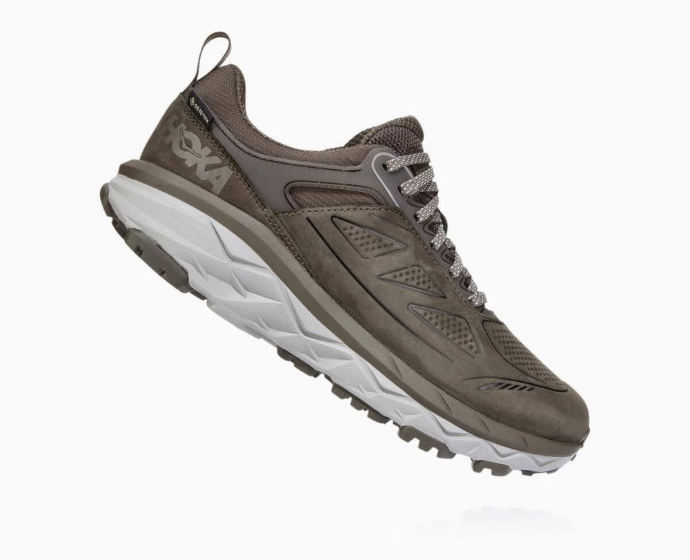 Hoka Challenger Low GORE Brown | 42571KQTN