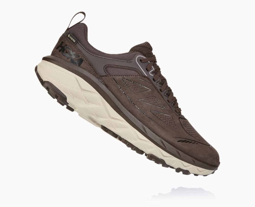 Hoka Challenger Low GORE Coffee | 52319NKZB