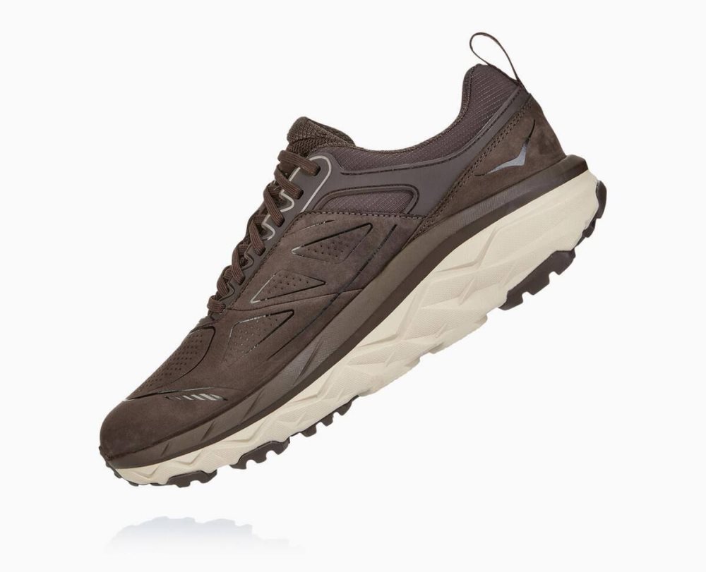 Hoka Challenger Low GORE Coffee | 52319NKZB