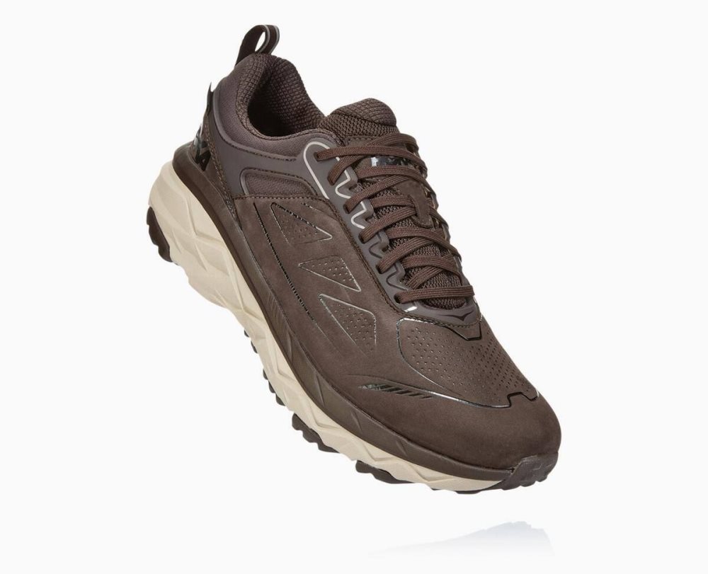 Hoka Challenger Low GORE Coffee | 52319NKZB