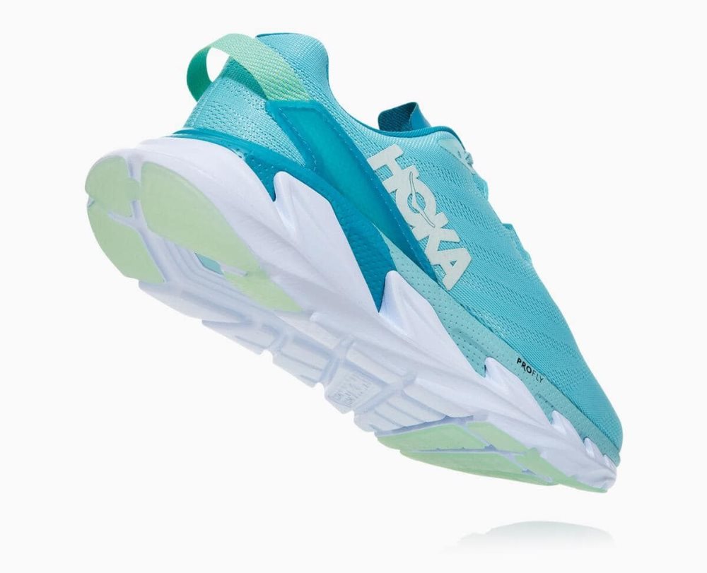 Hoka Elevon 2 Brown / Blue | 80593KVBZ